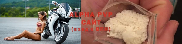 ECSTASY Дмитриев