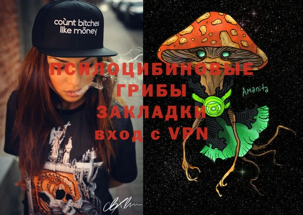ECSTASY Дмитриев