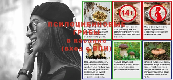 прущий лед Дмитров