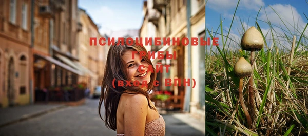 прущий лед Дмитров